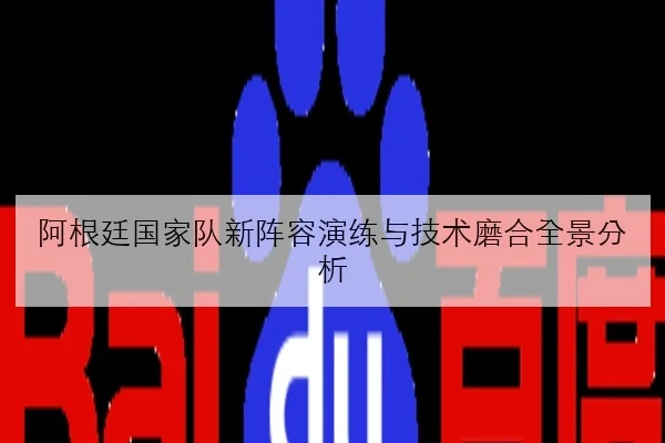 阿根廷国家队新阵容演练与技术磨合全景分析